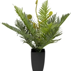 KARE Design Plante décorative Farn 55cm> Accessoires