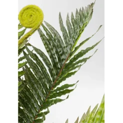 KARE Design Plante décorative Farn 55cm><noscript><img width=