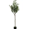 KARE Design Plante décorative Olive Tree 150cm> Accessoires