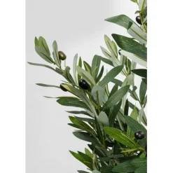 KARE Design Plante décorative Olive Tree 150cm> Accessoires