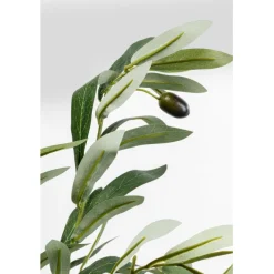 KARE Design Plante décorative Olive Tree 150cm><noscript><img width=