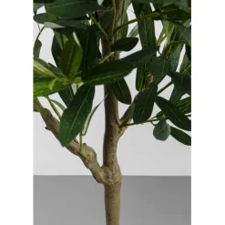 KARE Design Plante décorative Olive Tree 150cm><noscript><img width=
