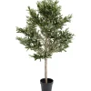 KARE Design Plante décorative Olive Tree 120cm> Accessoires