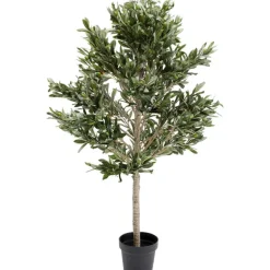 KARE Design Plante décorative Olive Tree 120cm> Accessoires
