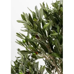KARE Design Plante décorative Olive Tree 120cm><noscript><img width=