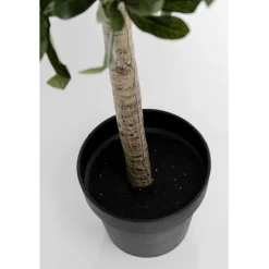 KARE Design Plante décorative Olive Tree 120cm><noscript><img width=