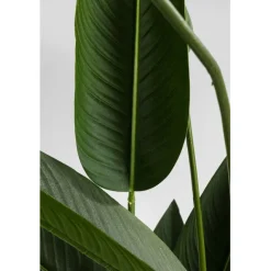 KARE Design Plante décorative Paradise Flowers 190cm><noscript><img width=