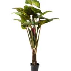 KARE Design Plante décorative Rainbow Tree 160cm> Accessoires