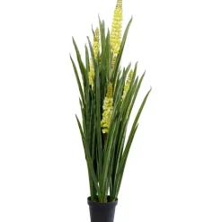 KARE Design Plante décorative Rhynchostylis 150cm> Accessoires