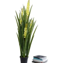 KARE Design Plante décorative Rhynchostylis 150cm> Accessoires