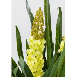 KARE Design Plante décorative Rhynchostylis 150cm><noscript><img width=