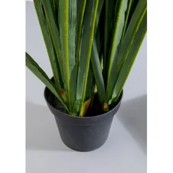 KARE Design Plante décorative Rhynchostylis 150cm><noscript><img width=