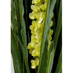KARE Design Plante décorative Rhynchostylis 150cm><noscript><img width=