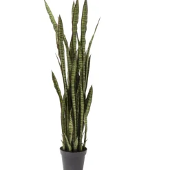 KARE Design Plante décorative Sansewieria 155cm> Accessoires