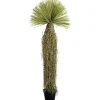 KARE Design Plante décorative Yucca Rostrata 180cm> Accessoires