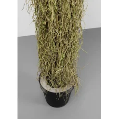 KARE Design Plante décorative Yucca Rostrata 180cm><noscript><img width=