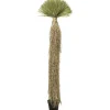KARE Design Plante décorative Yucca Rostrata 240cm> Accessoires