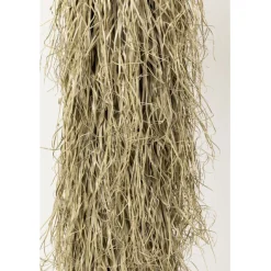 KARE Design Plante décorative Yucca Rostrata 240cm><noscript><img width=