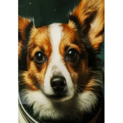 KARE Design Tableau en verre Astronauts Dogs 80x60cm><noscript><img width=