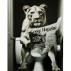 KARE Design Tableau en verre Bath Lionne 60x80cm> Accessoires