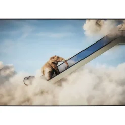 KARE Design Tableau encadré Elephant In The Sky 150x100cm> Accessoires