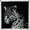 KARE Design Tableau encadré Miroir Leopard 80x80cm> Accessoires
